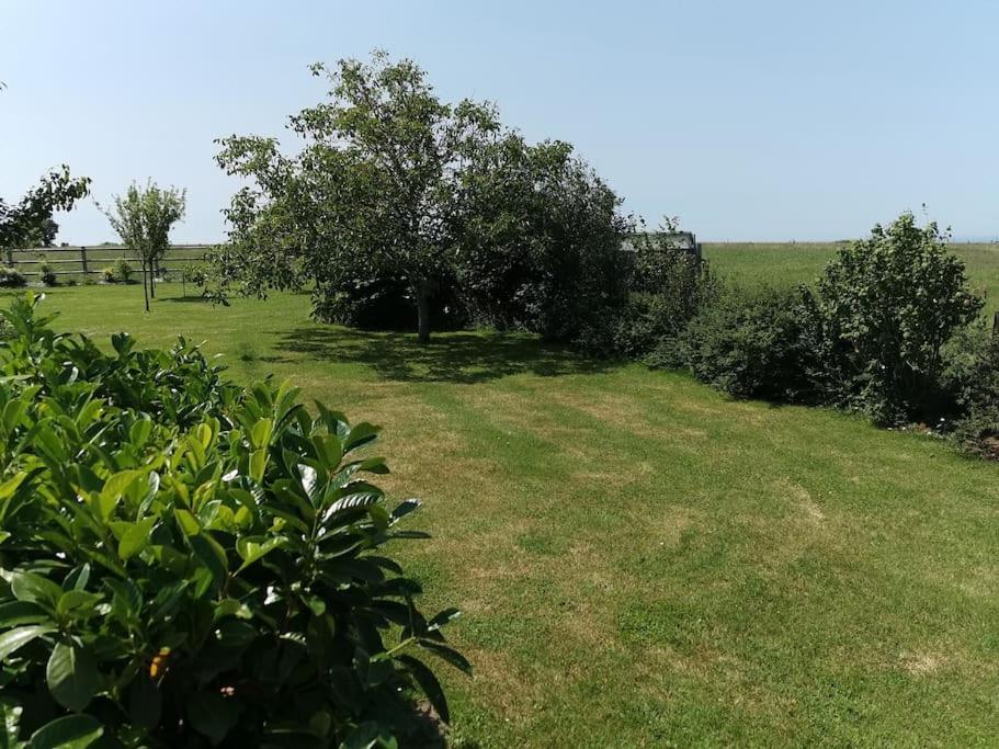 Dependance Au Calme Dans Notre Jardin Villa Saint-Aubin-Des-Preaux Kültér fotó